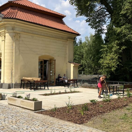 Úprava zeleně u historické budovy